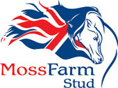 Moss Farm Stud